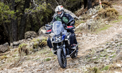 A boxer letarolta a német motorpiacot