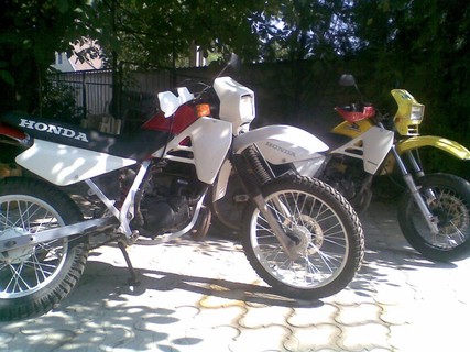 MTX POWA Honda4ever