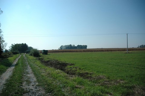 Elkezdődtek a munkálatok a Balatonringen