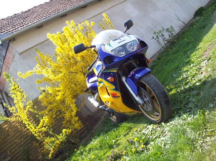 Suzuki GSX - R 600