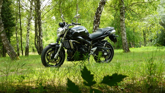 Fz6 - n