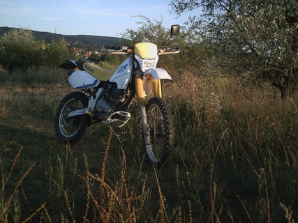 DR 350