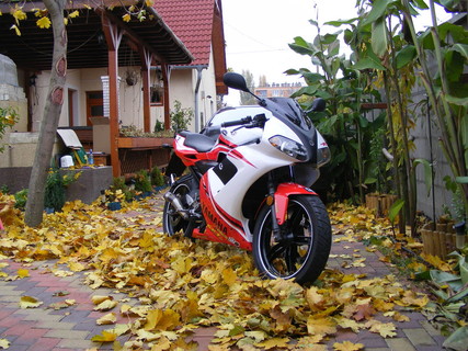 Yamaha TZR TK - GP