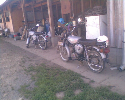 Simson