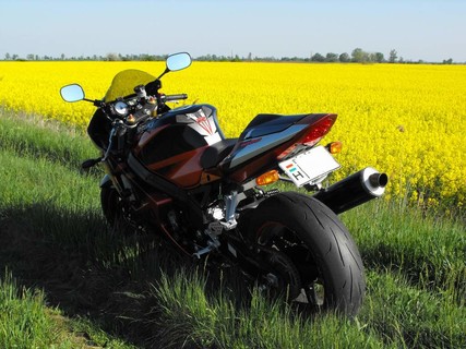 Gsxr 1000 (múlt)