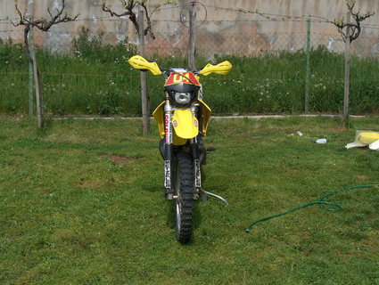 Suzuki RM 250