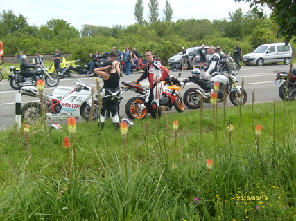 Harley 2010