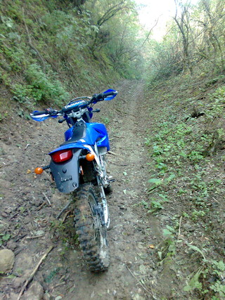 EnDuRo