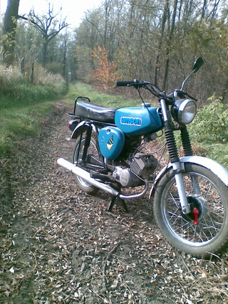 Simson + az erdő