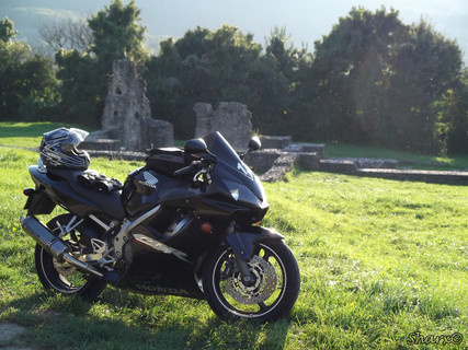 CBR 600F - Pilis