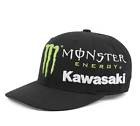 Kawasaki monster