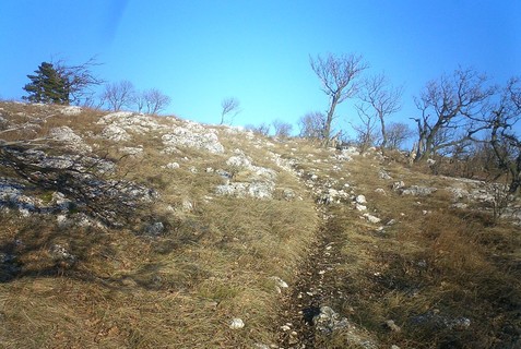 Bakony Enduro.