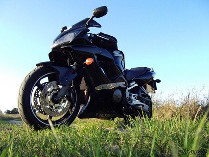 CBR 600F - Börzsöny