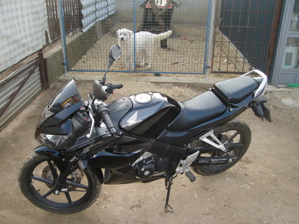 CBR125 tavasz