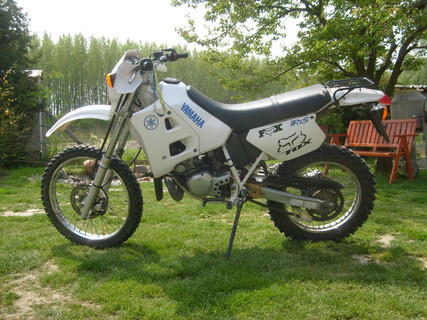 Yamaha dt