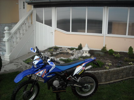 Yamaha DT 50 R in the Garden