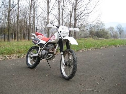 Honda XR 250