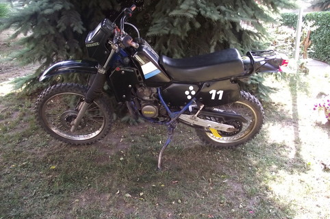 Suzuki Ts125x