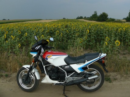 Honda MVX 250 F