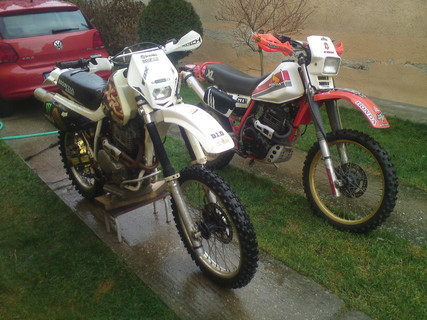 A ket dog - - XR600R es XL600R