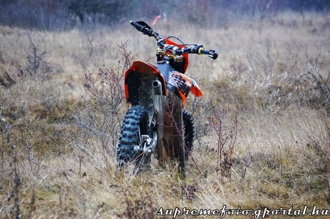 BaglyasRodeo Training