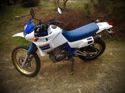 HONDA NX 650R