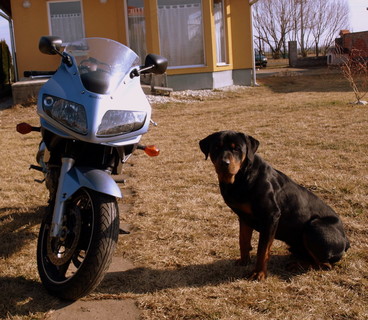 Roti vs SV650s