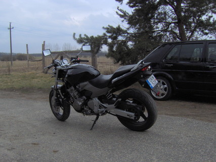 Honda hornet