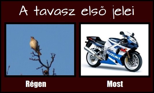 Tavasz első jelei