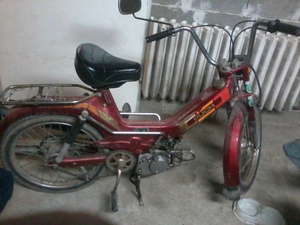 Puch maxi (ninja)