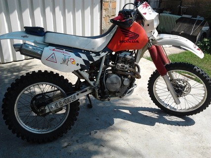 Xr600r