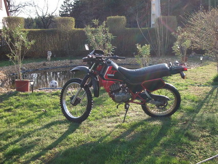 Yamaha DT 50 MX 1NN