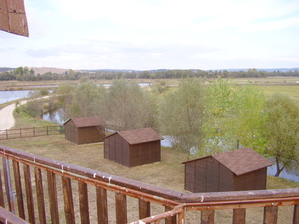 2013 Virágók Robinzon szigeteken