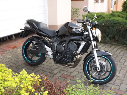 FZ6N