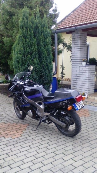 FZR 500