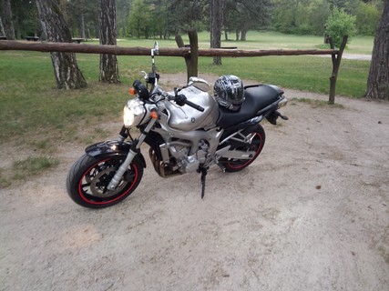 Fz6n