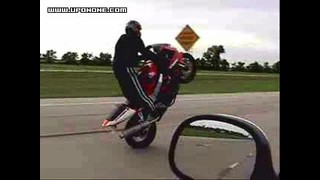 Honda CBR Wheelie