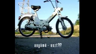 Puch Summer Fighter