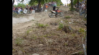 Sirok 2007