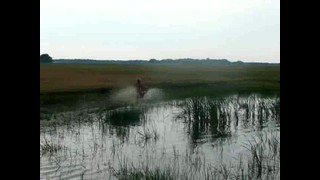 A vizen járó KTM