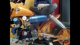 Honda Monkey with Bobos NOS