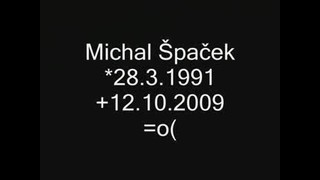 MICHAEL SPACEK,1991 - 2009