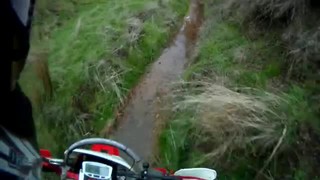 Wooragee creek run