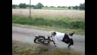 Motocross crash