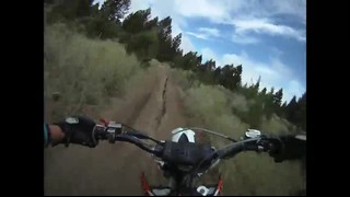 MX Tree Run