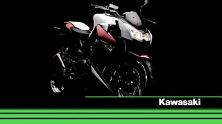 Kawasaki Z1000 2010