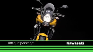 Kawasaki Versys 2010