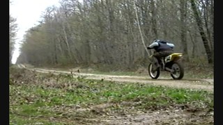 RMZ 450