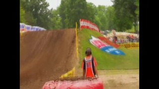 Red Bud