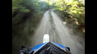 Erdő GoPro TT600